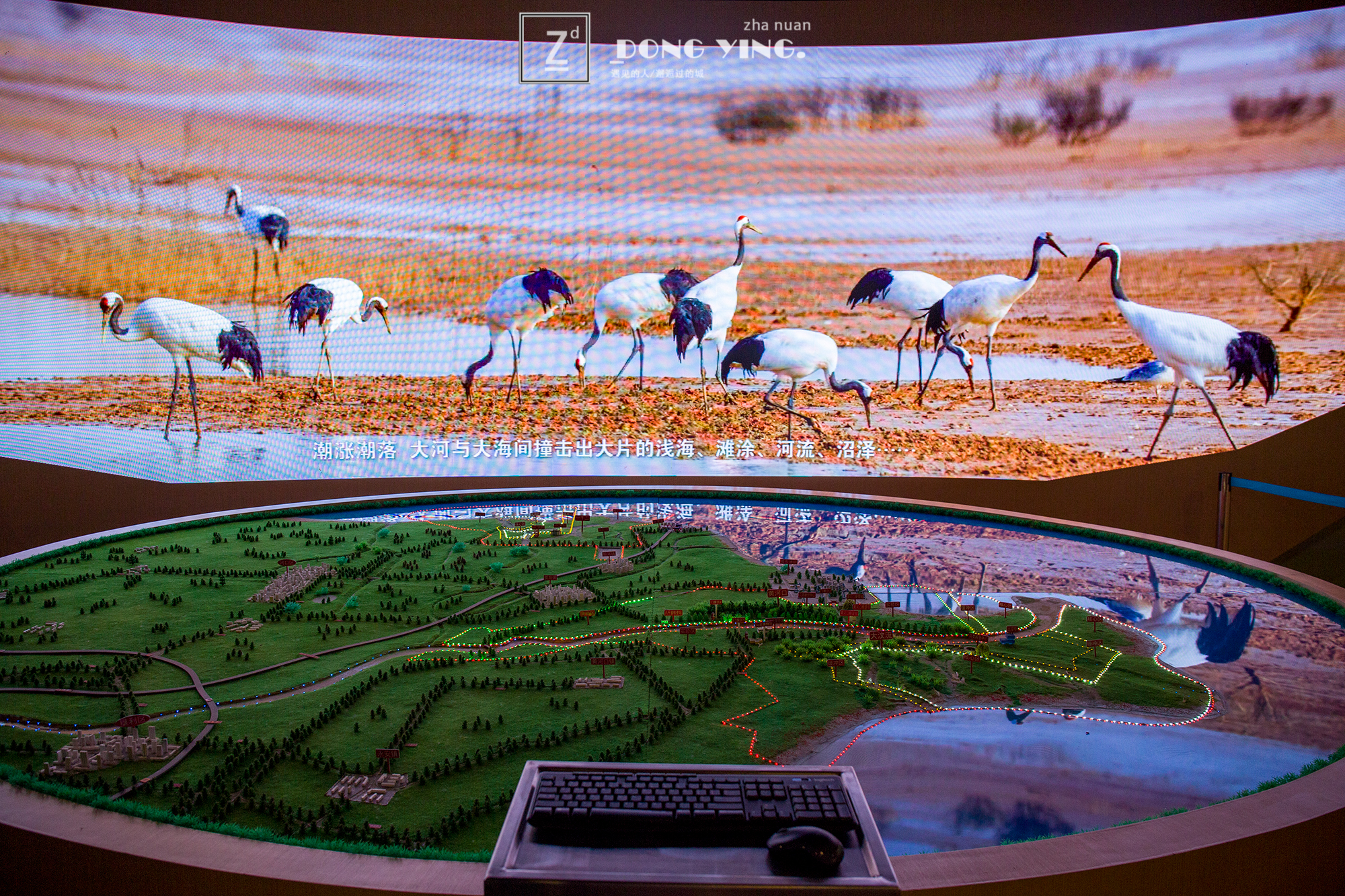 山东黄河入海城市,山东黄河去哪里看最壮观