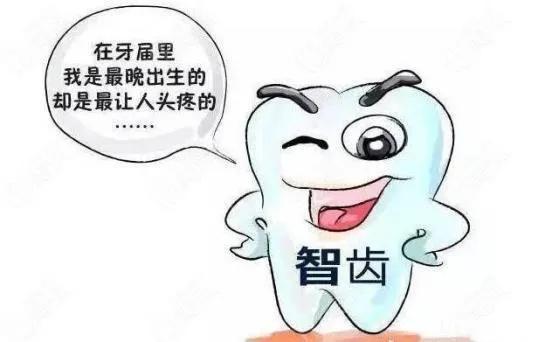 6-12岁儿童换牙的顺序图片,6-12岁换牙的顺序