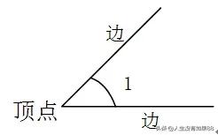 苏教版四年级数学上册练习与测试,苏教版四年级上册数学易错应用题