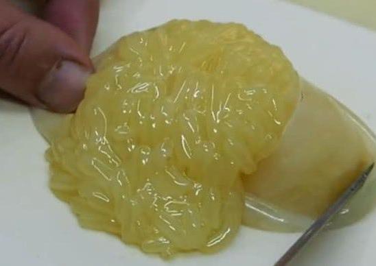 日本海鲜是绝对不能吃的,日本人最爱吃的五种海鲜