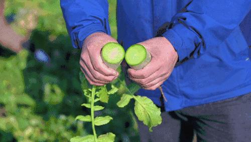 山东省到底有多强大,山东对中国的贡献有多大