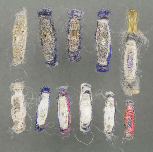 衣柜底下有黑色小虫子怎么办,衣柜里长虫子了怎么办