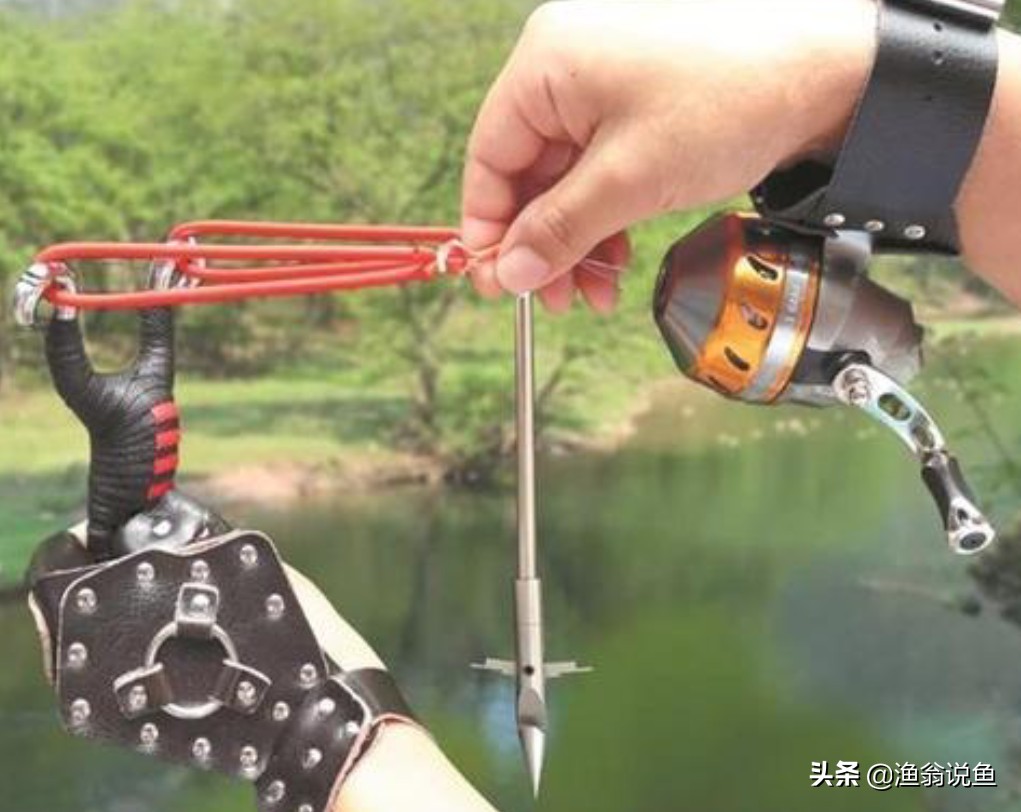 高效毒辣的“射鱼*党**”，诱人的鱼获下，却隐藏危机