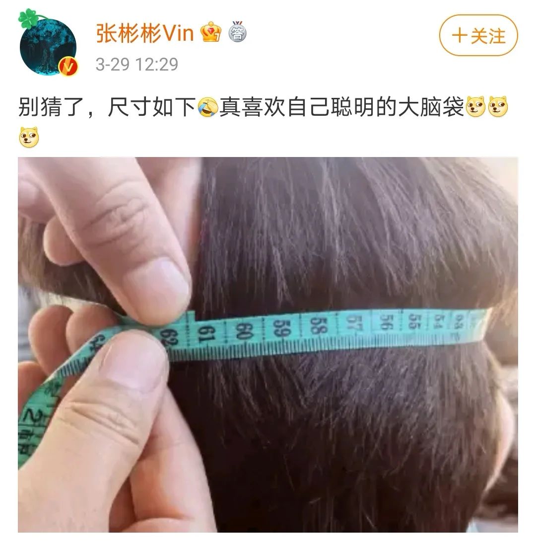 司藤和秦放现实中是什么关系,司藤和秦放中间经历了什么