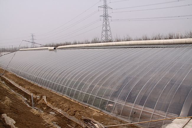 河北遮阳连栋薄膜大棚承建,连栋薄膜温室大棚效果图讲解