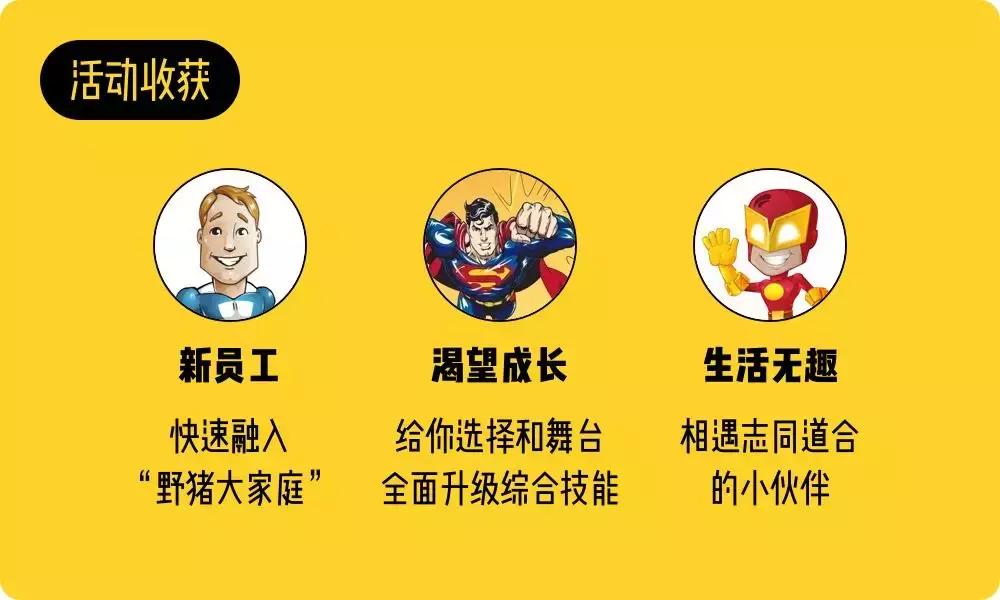 比较有趣的公司,特别有趣的公司