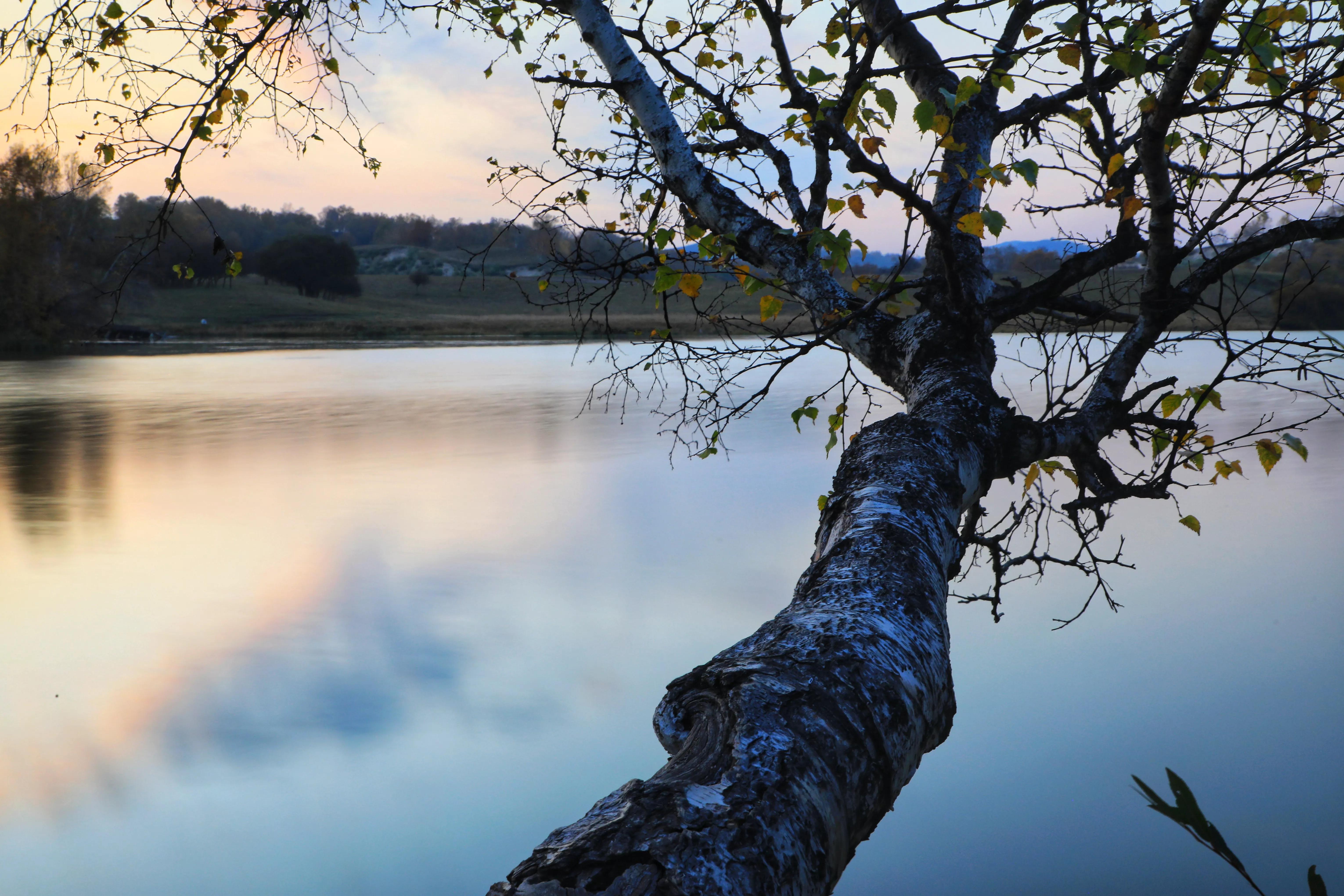 坝上秋色草原,坝上草原游记作文