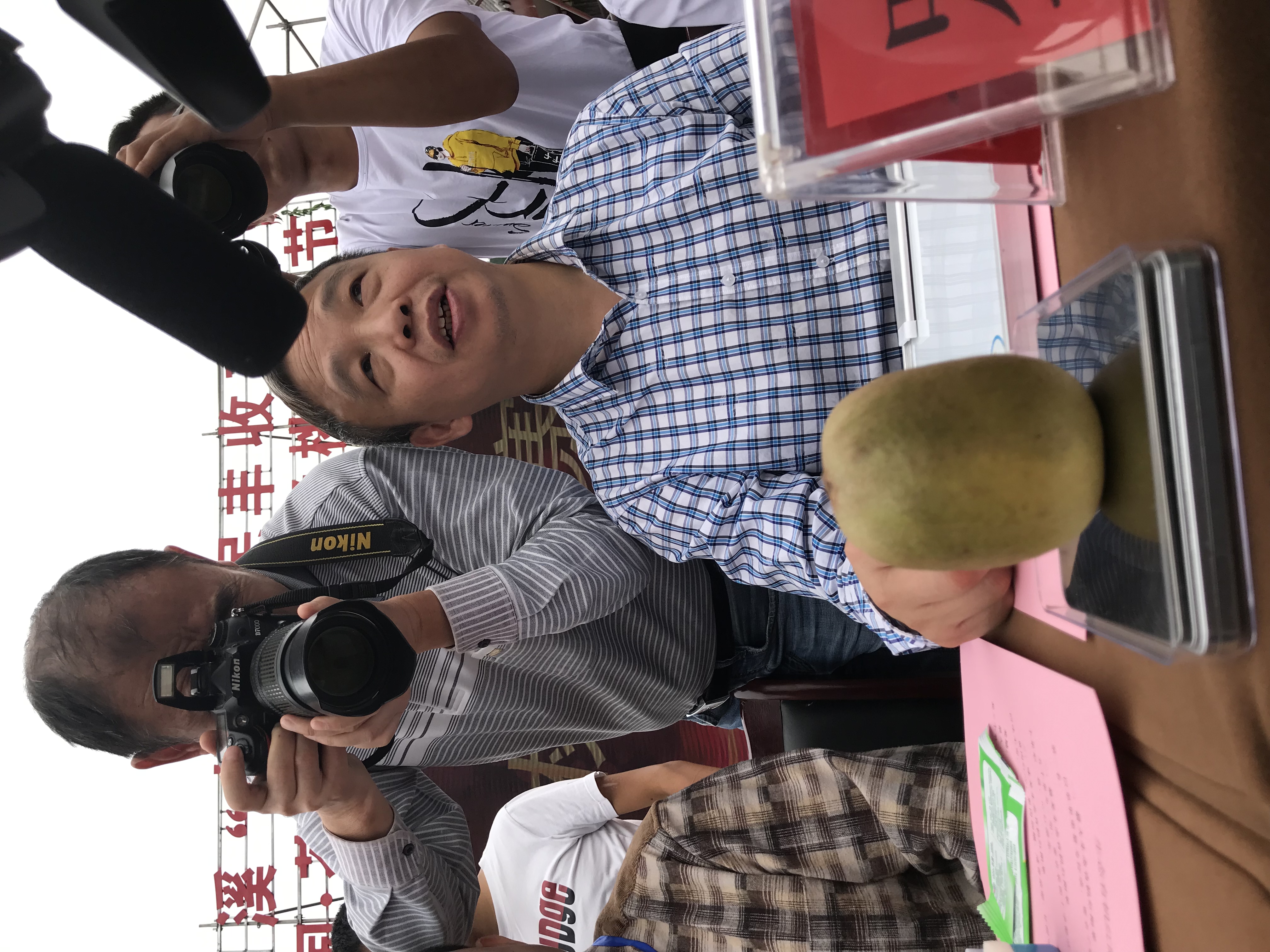 苍溪红心猕猴桃销量第一名,苍溪历年红心猕猴桃产量