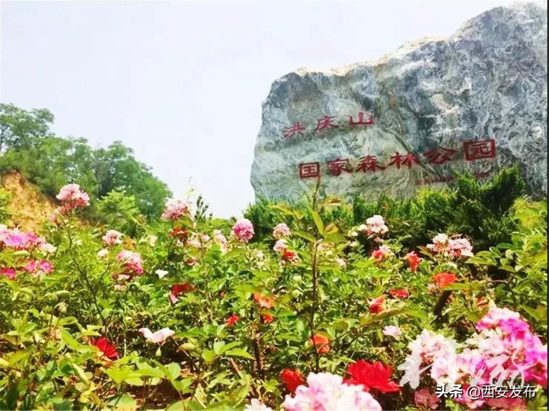 我爱瞰西安|打造西安东部增长极，快来瞰瞰灞桥咋做的