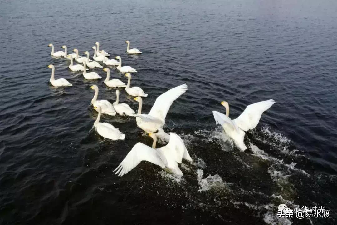 易县好看的视频,易县哪儿的好看