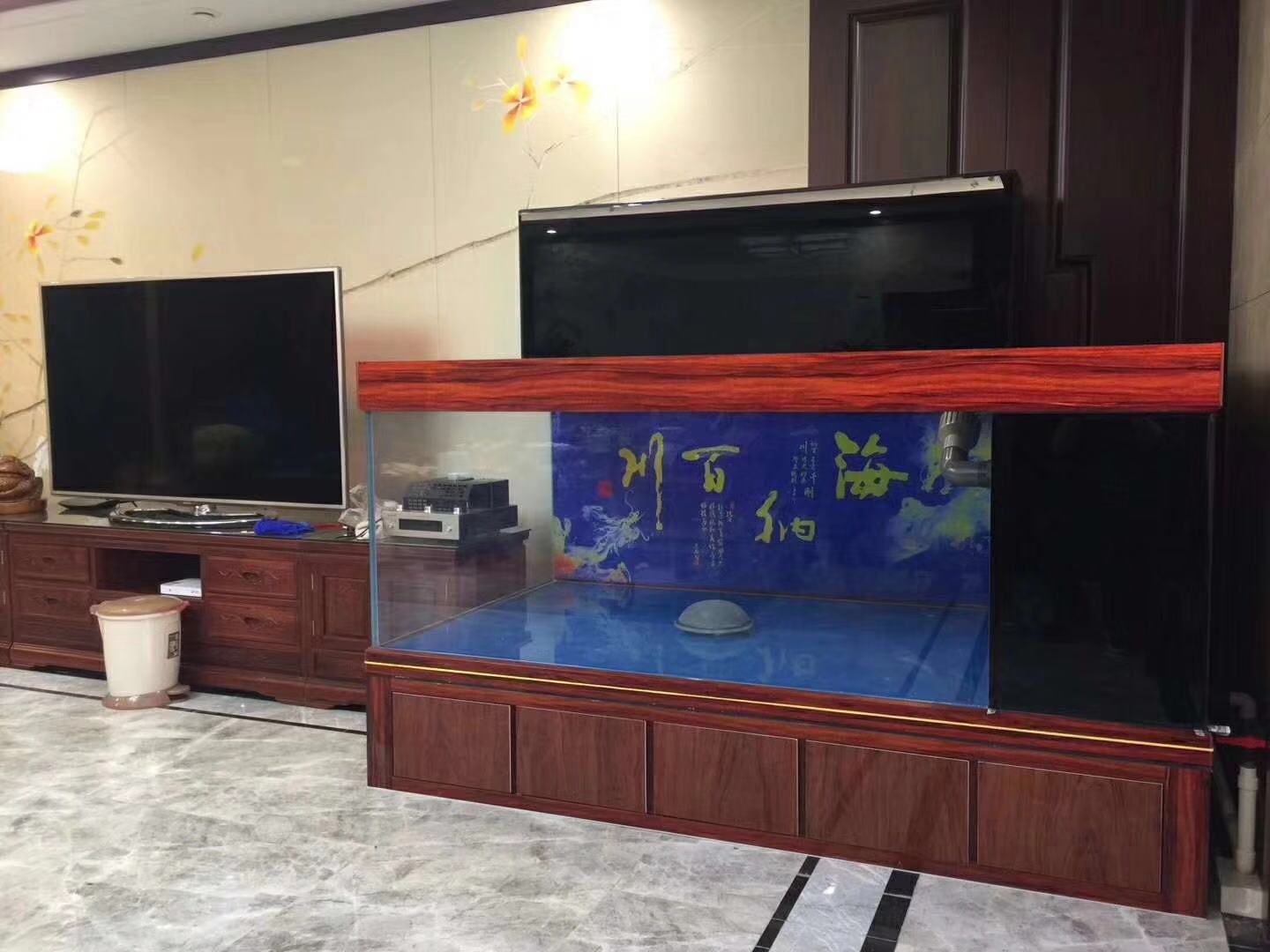 鱼缸养锦鲤鱼技术大全,缸养小锦鲤鱼的基本方法