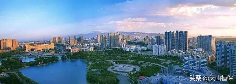 *疆新**库尔勒彻底火了！登上央视让世界瞩目，为库尔勒而骄傲