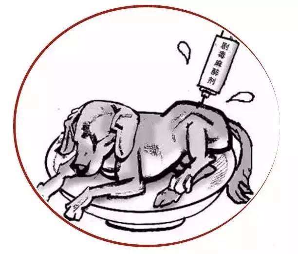 如皋毒狗判刑案,毒针杀狗案件