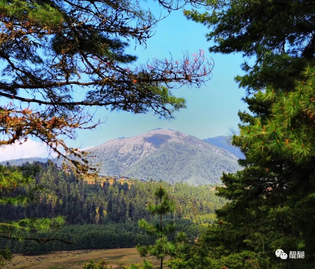 不丹演变史,不丹简史