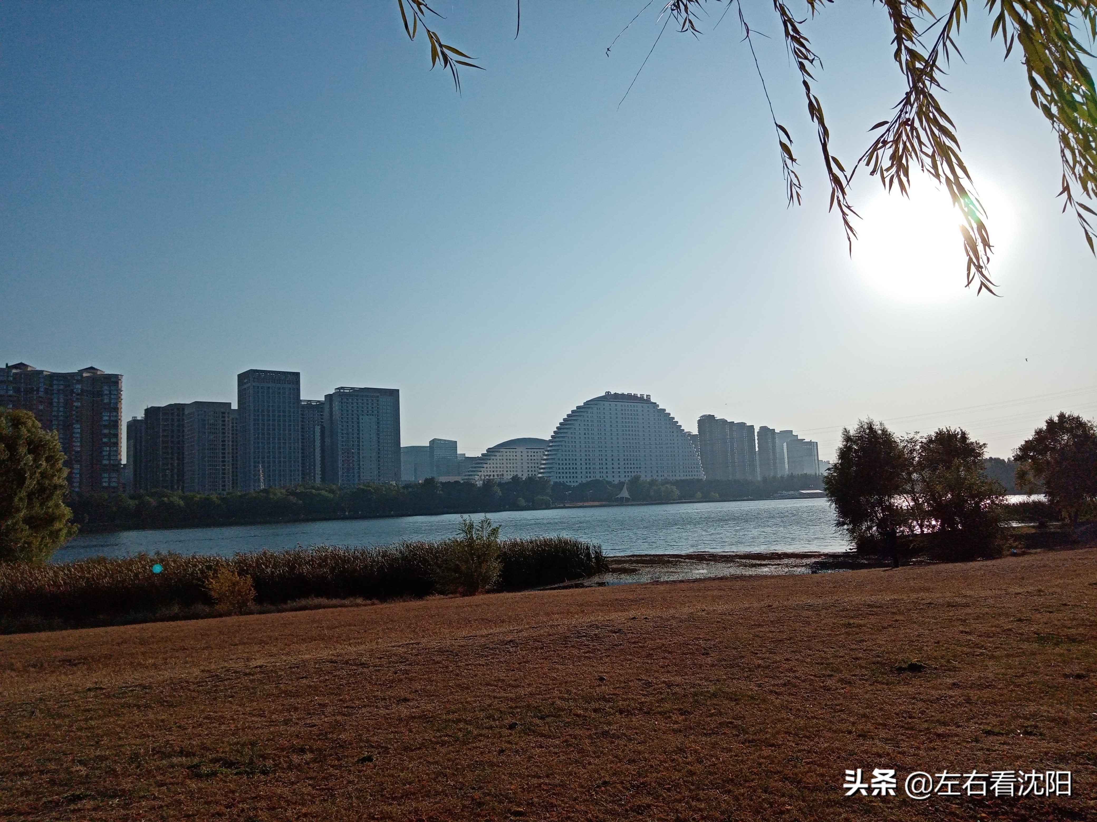 沈阳五里河公园攻略,沈阳五里河公园现在开吗