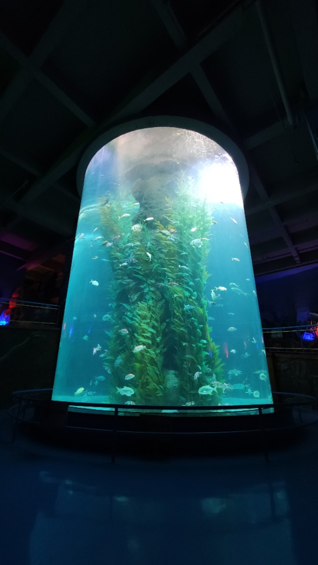 福州欧乐堡海洋世界家庭套票团购,福州欧乐堡海洋世界门票价格