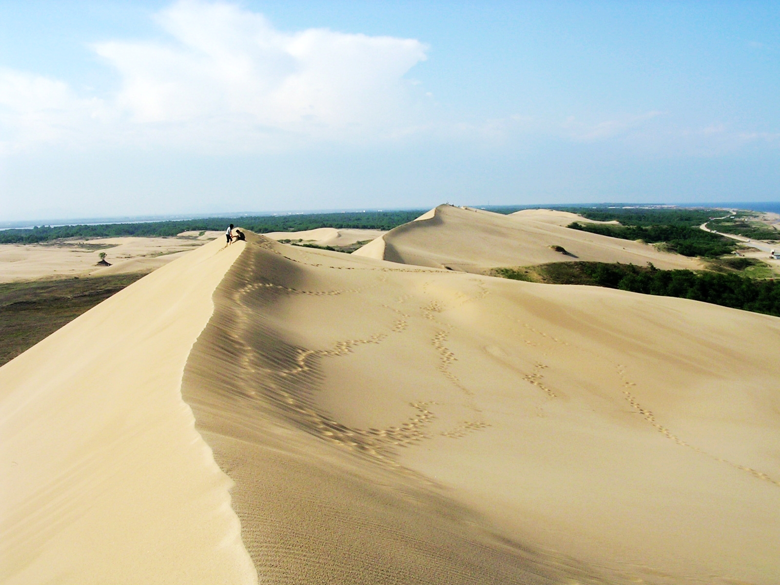 纪念失去后的重生,纪念失去的一切