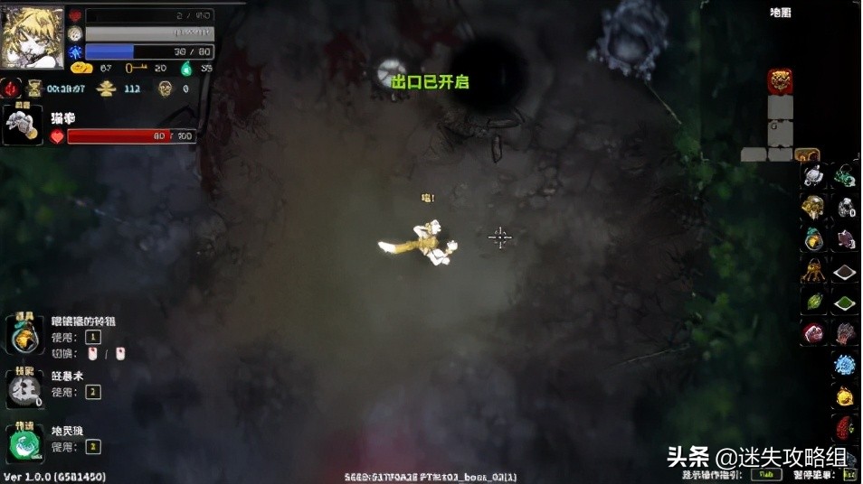 空洞骑士攻略,空洞骑士详细攻略