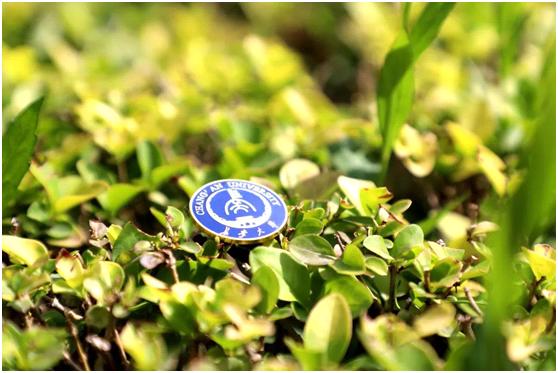 陕西最“壕”毕业礼物!水晶+珐琅,今年每个人送“神秘”3件套!