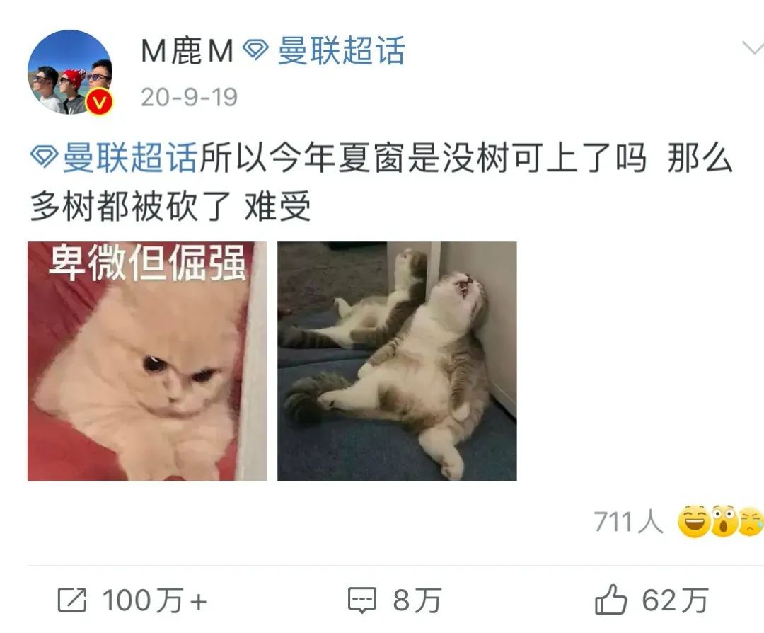 鹿晗采访时谈顶流,鹿晗足球视频集锦