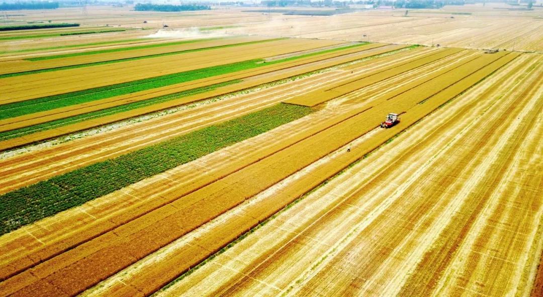 燕赵沃野的读音,河北燕赵大地