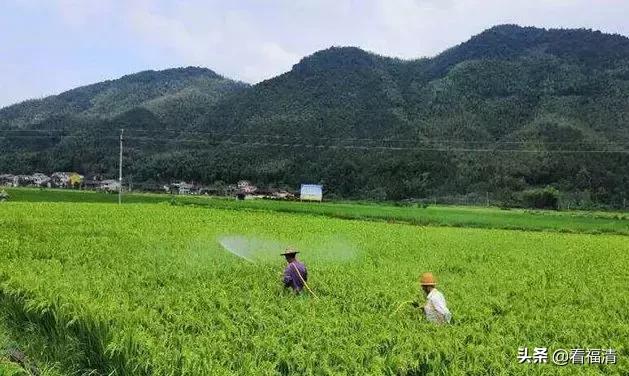 鍘夊浜嗙寤虹渷,鍘夊浜嗙渷绾х櫨寮轰腑蹇冮晣
