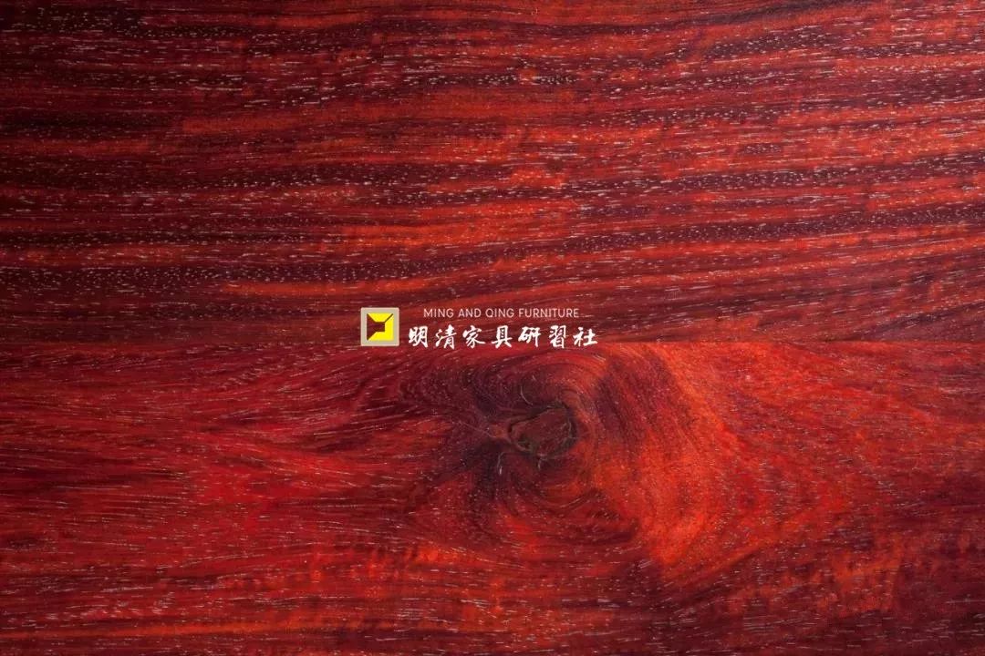 紫檀的真实身份,紫檀最后的样子