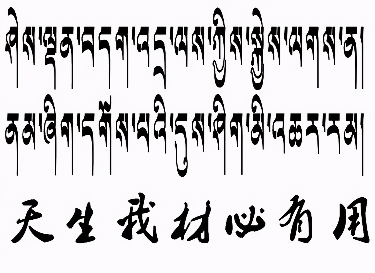 用“冷门”技能敲开985大学的门,教育内卷开始“不走寻常路”