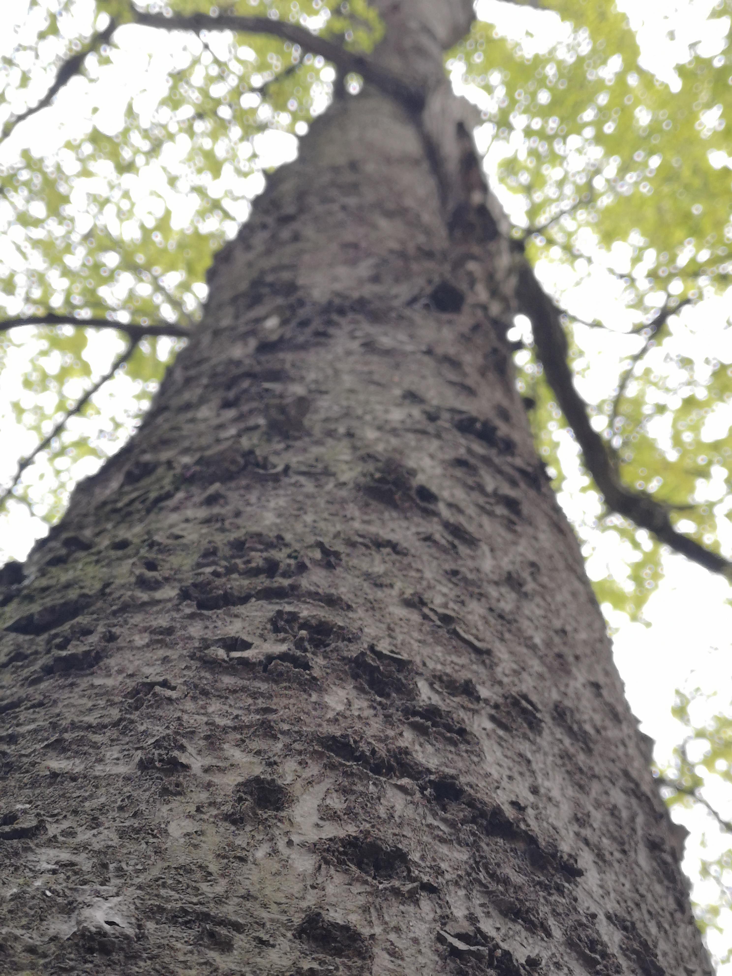 贵州的织金洞旅游攻略,贵州织金洞旅游自由行攻略