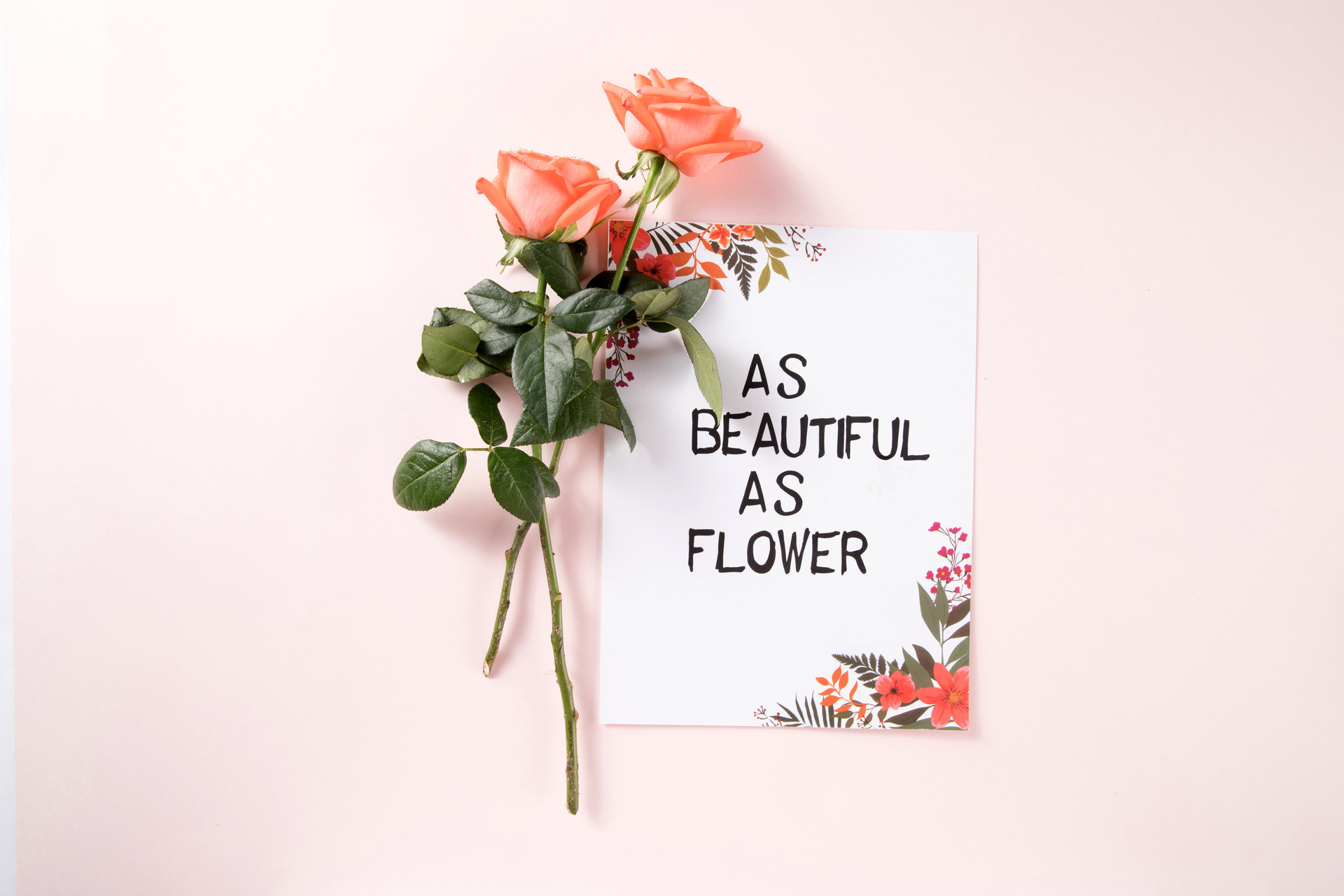 感情淡了如何升温,让对方冷静下来感情会变淡