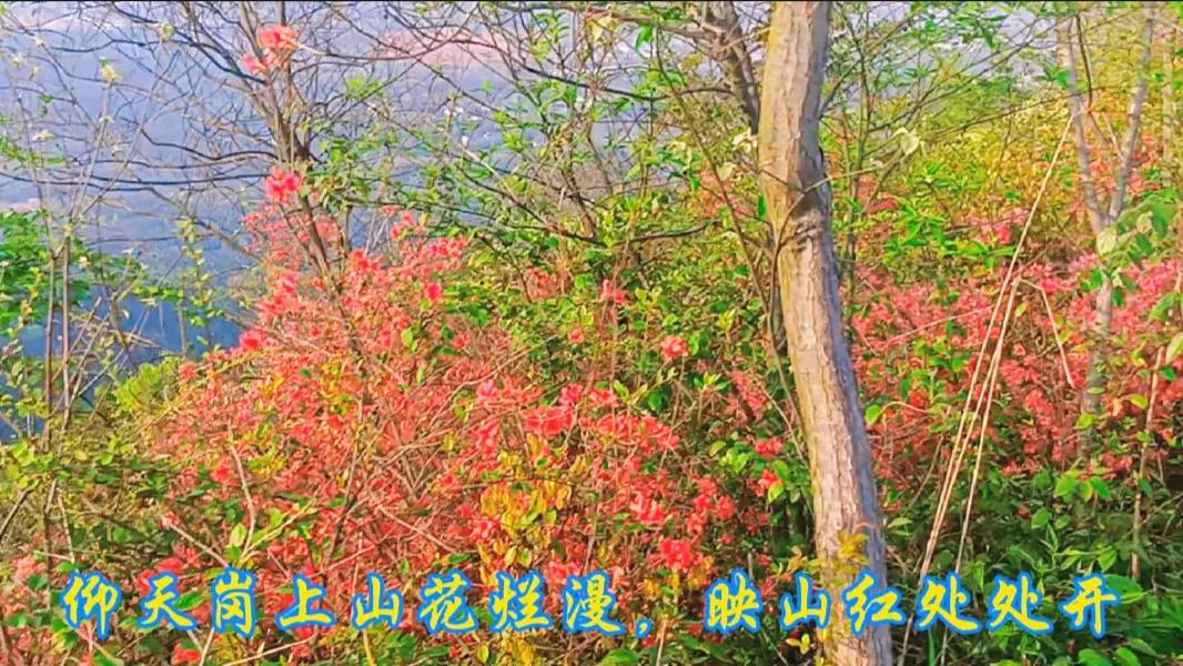 春日新余,美丽钢城新余