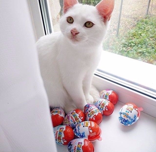 零食包装的故事,零食品牌背后的故事