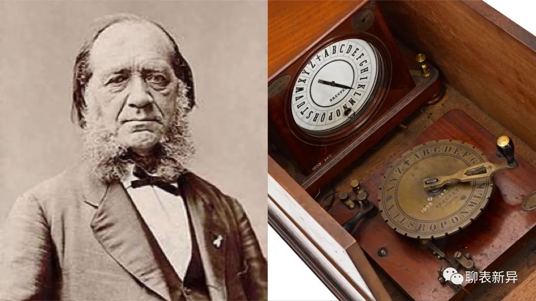 百里鸽,百里乳鸽