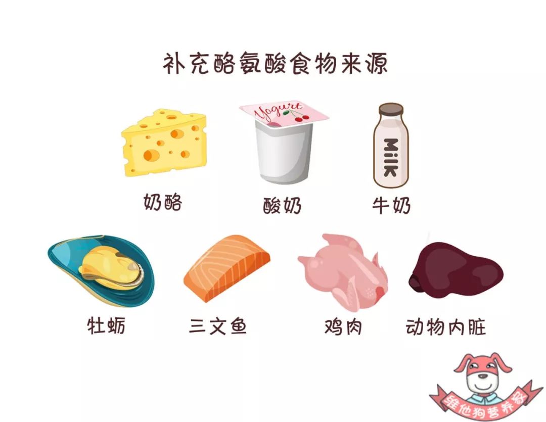 熬夜三班倒怎么补救,熬夜熬多了怎么调整正常作息