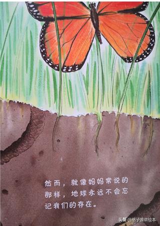 绘本蚯蚓的日记网络图,蚯蚓日记绘本完整版有多少页