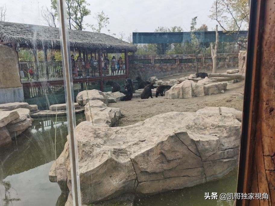 不一样的南通动物园,南通森林野生动物园和上海动物园