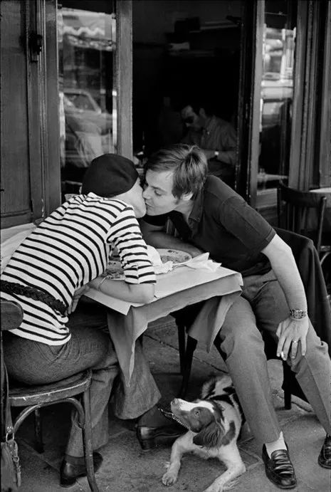 犬的记忆｜世界摄影经典