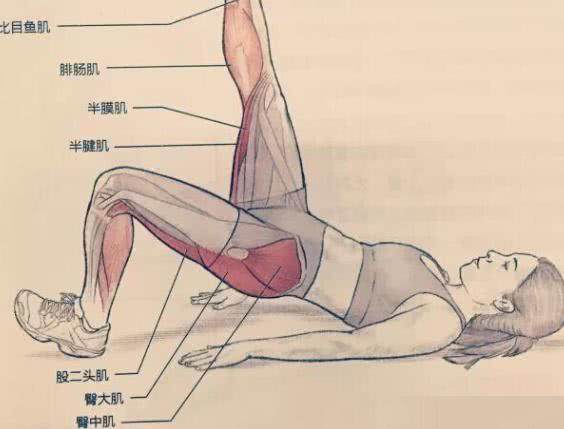 「伤情研究所」名宿告别赛都能出现的腿筋拉伤,到底是什么玩意?