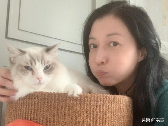 吴绮莉吴卓林个人资料,吴绮莉喊话吴卓林