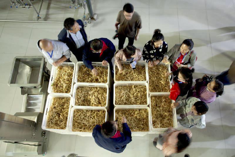 乡村振兴看沂蒙,打造乡村振兴齐鲁样板威海篇