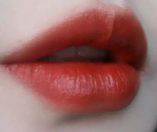安利口红效果好吗,mac和雅诗兰黛口红哪个好用豆沙色