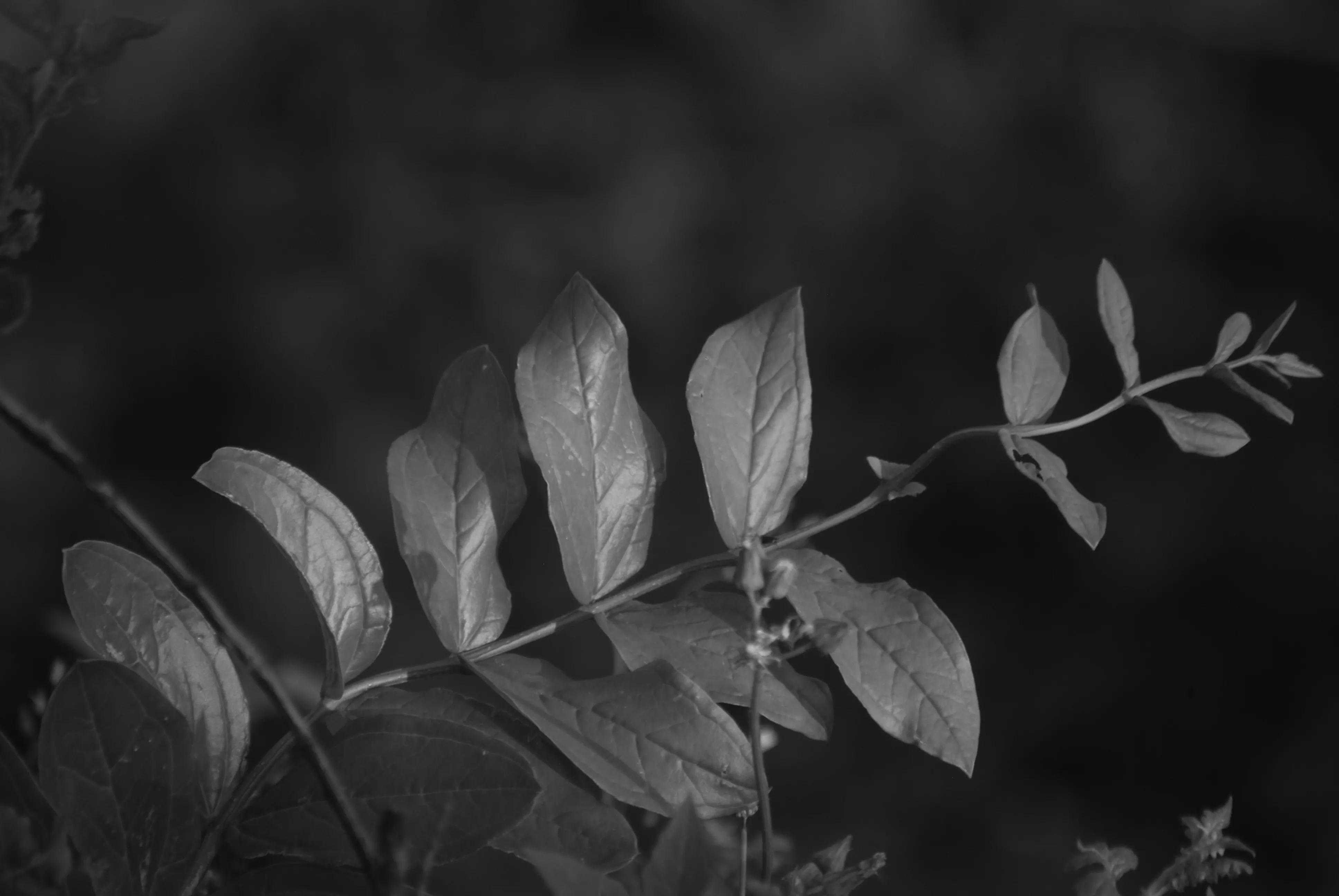 1000元二手全画幅单反相机推荐,2022最建议买的二手单反相机