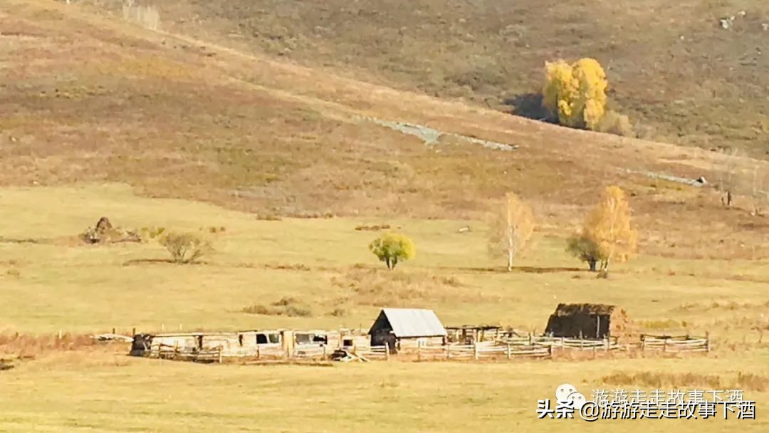 *疆新**自由1：15000公里带狗走全疆（*疆新**全程路书）