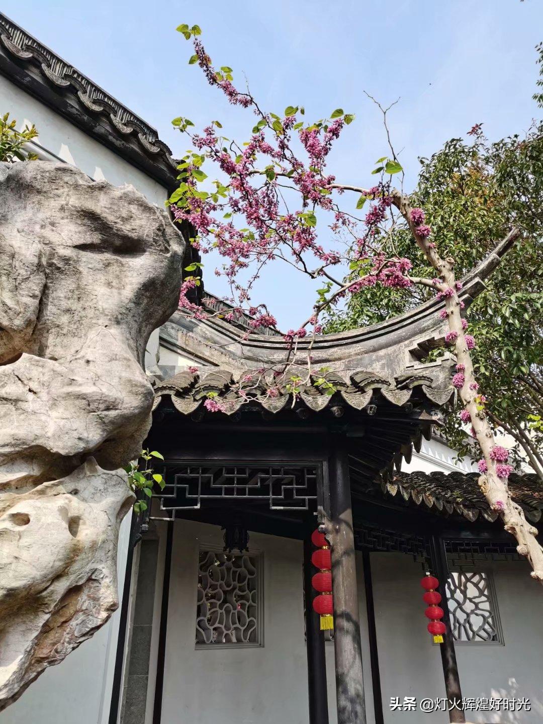 木渎古镇的园林值得一看吗,参观木渎古镇江南园林庭院