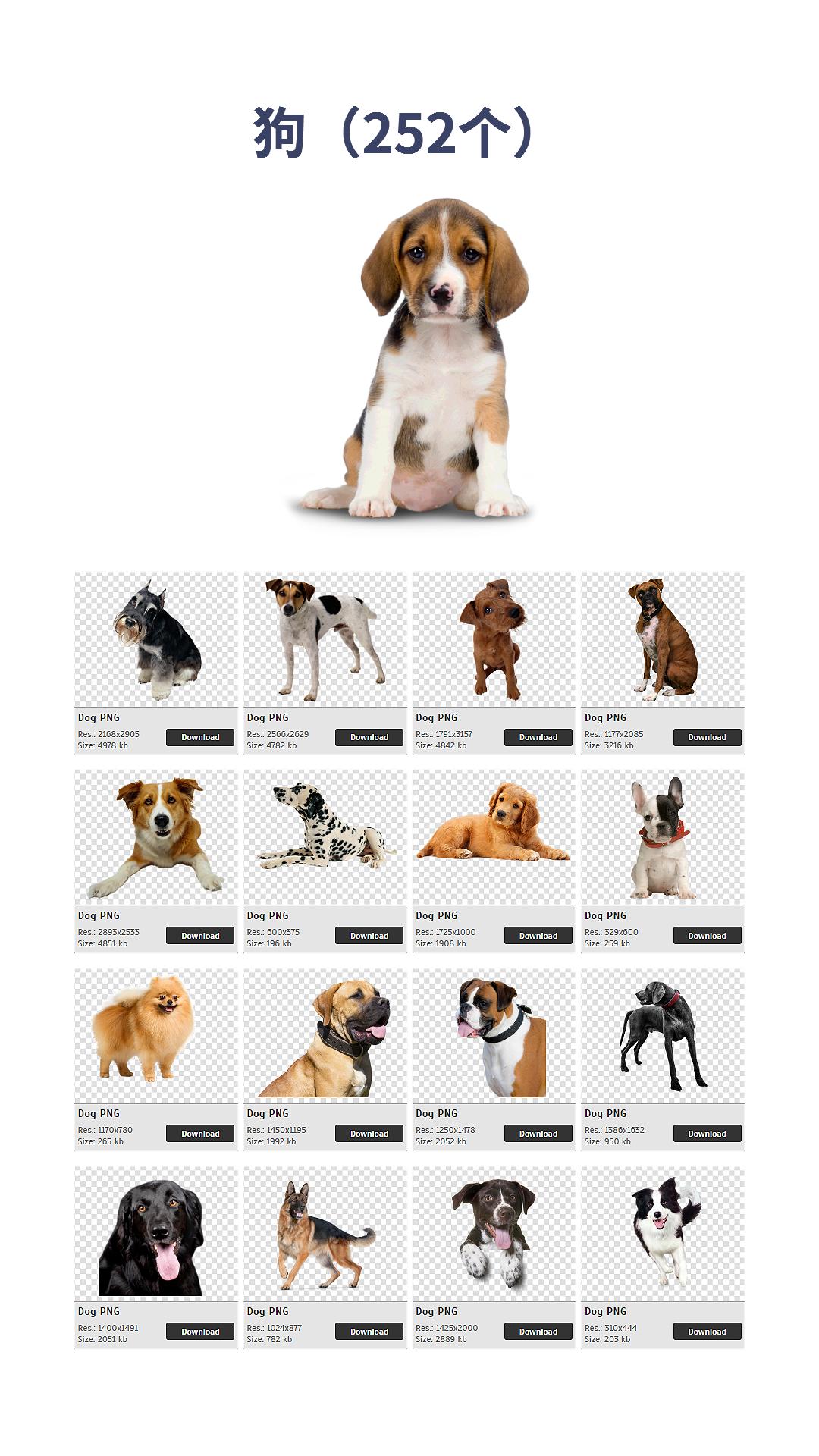 png免抠图装饰透明素材图片,免抠png图片素材免费下载