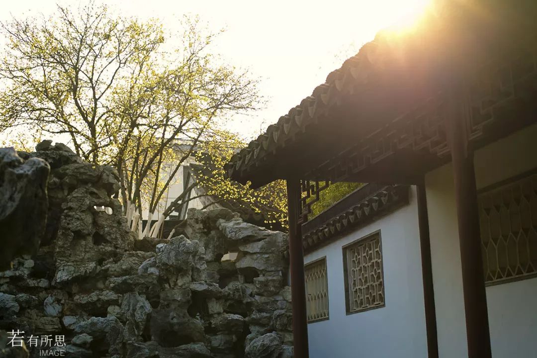 离上海仅1小时,这3座小众安静的江南名园,可惜大多数都没听过!