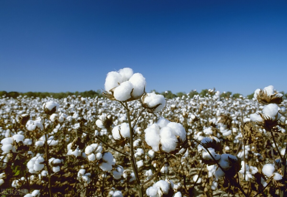 hm和耐克阿迪达斯,关于耐克和阿迪达斯的最近消息