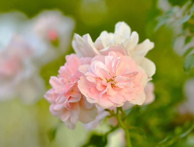 十二星座男喜欢干涉女友的什么事？水瓶座管钱，处女座什么都管