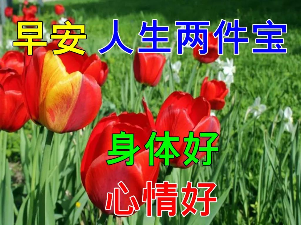 周一早上好祝福问候语最新版多图,周一早上好最新图片问候语