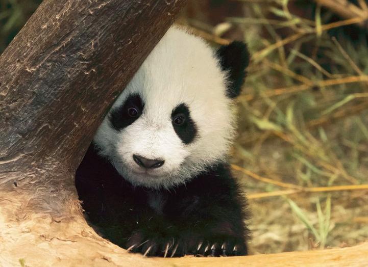 江西以前到底有多么辉煌,江西历史上没落的原因图片